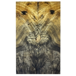 Drewno stabilizowane Buckeye Burl czeczot okładki 8x54x185mm SBSC95